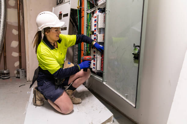 Best Electric Panel Repair  in Fulton, IL