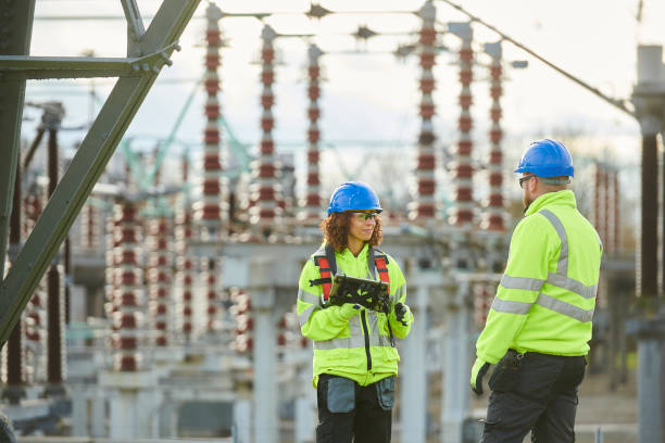 Best Electric Panel Repair  in Fulton, IL